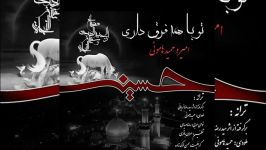 امیر حمید هامونی  تو همه فرق داری  آهنگ ویژه محرم