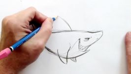 آموزش نقاشی How to Draw a Cartoon Shark