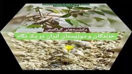 خزندگان دوزیستان ایران در یک نگاه