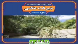 جیرفت عکس دلفارد