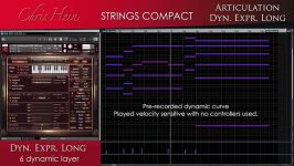 Chris Hein Strings Compact  Overview  Best Service