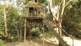 بساز؛ خونه درختی بامبو توی جنگل
