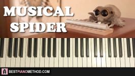 HOW TO PLAY  Lucas the Spider  Musical Spider Piano Tutorial Lesson