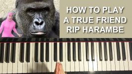 HOW TO PLAY  FILTHY FRANK  A TRUE FRIEND  HARAMBE TRIBUTE SONG Pi