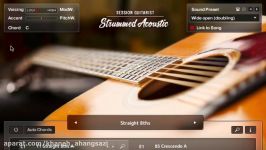 بانک کانتکت گیتار آکوستیک Strummed Acoustic 1