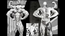 arnold schwarzenegger vs phil heath