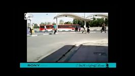 فیلم موبایلی 180 ثانیه، تقدیر شده در بخش تهران