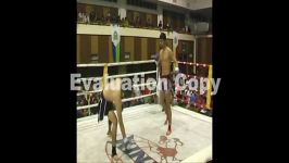 muay thai arak