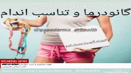 تصمیم بگیر لاغرشو گانودرما