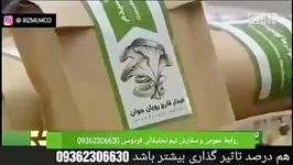 افشای دروغ های گانودرما در شبکه خبر