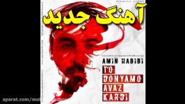 آهنگ جدید امین حبیبی تو دنیامو عوض کردی Amin Habibi  To Donyamo Avaz Kardi