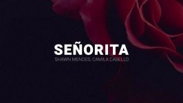 Shawn Mendes and Camila Cabello – Señorita Lyrics