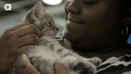 5 Things To Do After Adopting Your New Pet