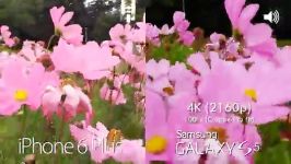 iPhone 6 6 Plus vs Samsung Galaxy S5  Camera Comparison