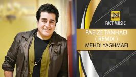 Mehdi Yaghmaei  Paeize Tanhaei Remix  مهدی یغمایی پاییز تنهایی ریمیکس 