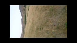 شنوباس فیلم جنایت زیست محیطی در روستای دوربه اشنویه