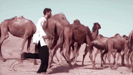 Soheil Rahmani سهیل رحمانی  موزیک ویدیو مجنون
