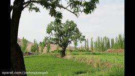 نجات محیط زیست جوشقان قالی