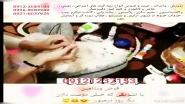 فروش گربه های اپارتمانی زینتی لاکچری تربیت شده ۰۹۱۲۱۲۳۷۱۵۳
