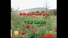 استاد ولی محمد امیدی