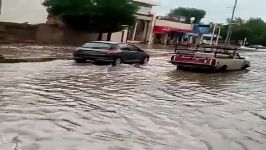 میمیری خنده؛ بارش شدید باران در بوشهر