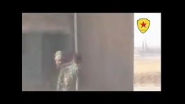 صحنه های زیبای درگیری کوردهای علوی در کوبانی داعش