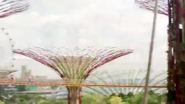 باغ تکنولوژیک Garden By the Bay سنگاپور  آی تی رادار