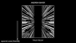 آهنگ ترنس Andrew Bayer به نام True Feelin