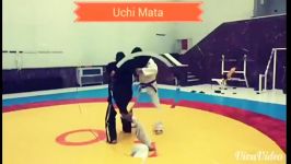 Judo  uchi mata