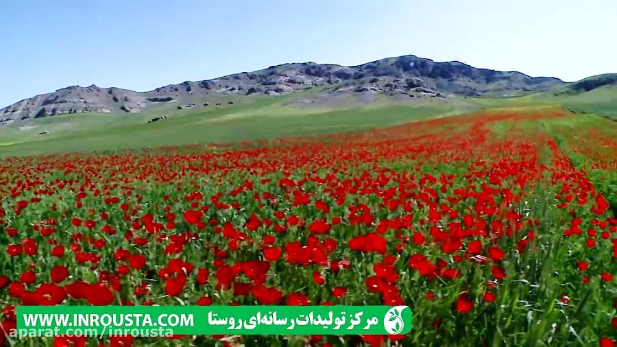 آهنگ زیبای آذری سیزه سلام گتیرمیشم