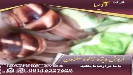 خرید فروش حلزون طبی اسکارگو در شیراز