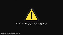 شکار پرندگان مهاجر