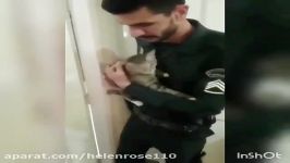 نجات گربه بیگناه توسط پلیس مهربان دست حیوان آزار«درود به انسانیت»