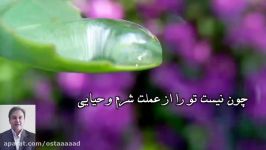 شعر صدای شاعر  راه کج  استاد محمدرضا صفاری