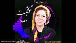 جان بی پاره   خواننده پژواک  pezhvak