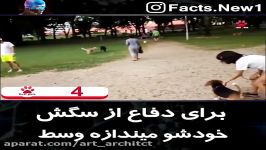 مردی برای سگش میخواد جونشو بده؟