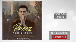 Vahid Adib  Paeez وحید ادیب پاییز