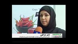 عطر غذاهای ایرانی در نمایشگاه غذاهای جهان