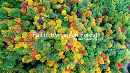 اینجا زیباترین ترکیب پاییز طبیعت در ایران را میتوانید ببینید