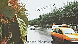 بِخدا بارون میزنه،آدم تَنها، تنهاتر میشه...#حسین سلیمانی #مسعود صادقلو #چتر