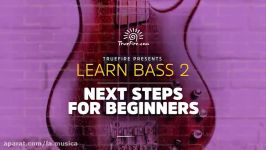 Learn Bass 2 Next Steps for Beginners