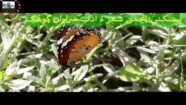 گشندهاستاد عبدالوزیر عابد ملوک زهی ،شاعرم.عیسی عبدالصمد کوهکی