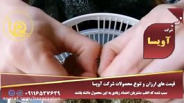 خرید فروش زالوی طبی در غرب تهران