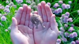 واقعیت افزوده شرکت Magic Leap