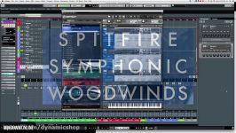 ساز های بادی چوبی Spitfire Audio Spitfire Symphonic Woodwinds