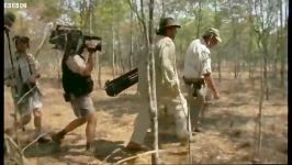 دنیای حیوانات  فیلمبرداری خطرناک حیات وحش  The dangers of wildlife filming