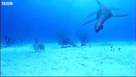 دنیای دایناسورها  کوسه ها علیه دایناسورها  Sharks vs Dinosaurs