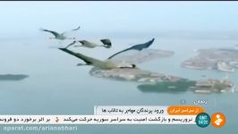پرندگان مهاجر تالاب هاي استان زنجان ايران