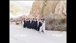 رقص کردی.باحال.نبینی دست دادی.لایک داره لایک کن