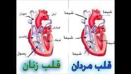 فرق قلب مردان زنانتا اخر ویدیو نگاه كن